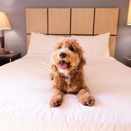 Sonesta Simply Suites Parsippany Morris Plains Exteriör bild
